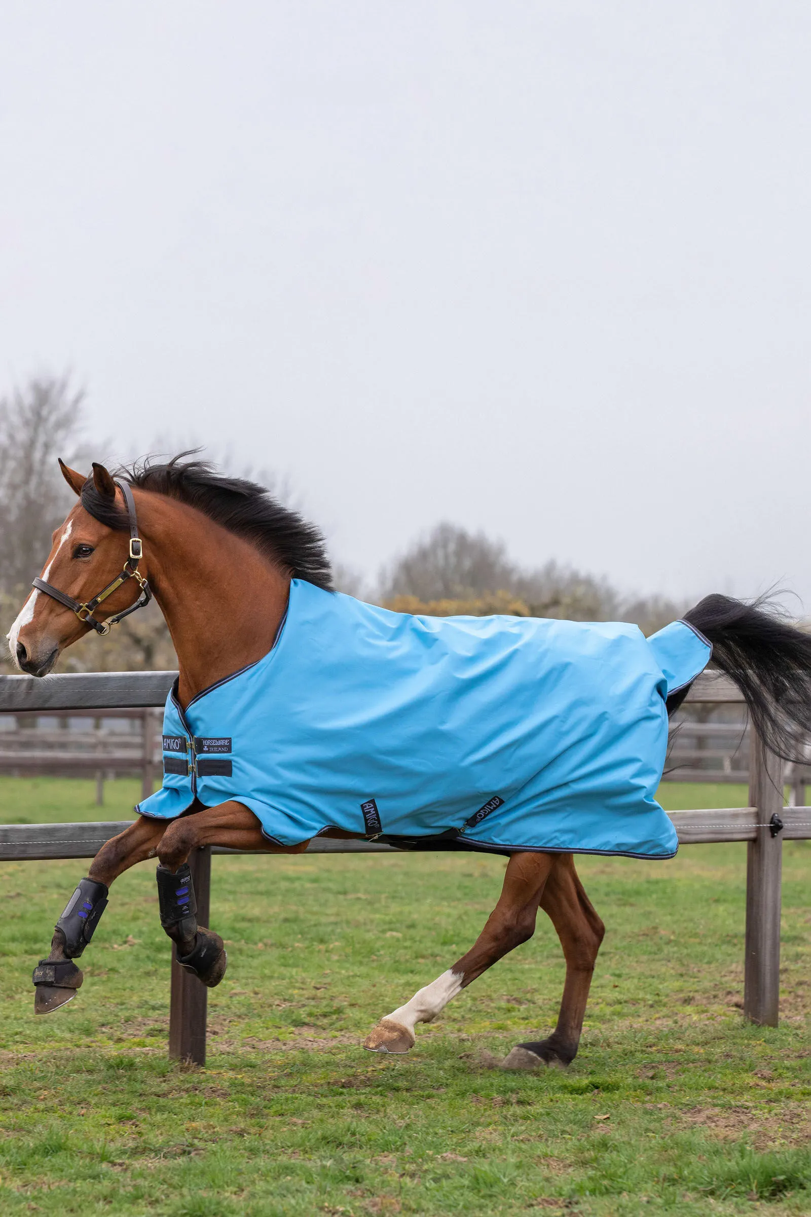 Horseware Amigo Hero 900 T/O Lite Tappeto Turnout, 0 g